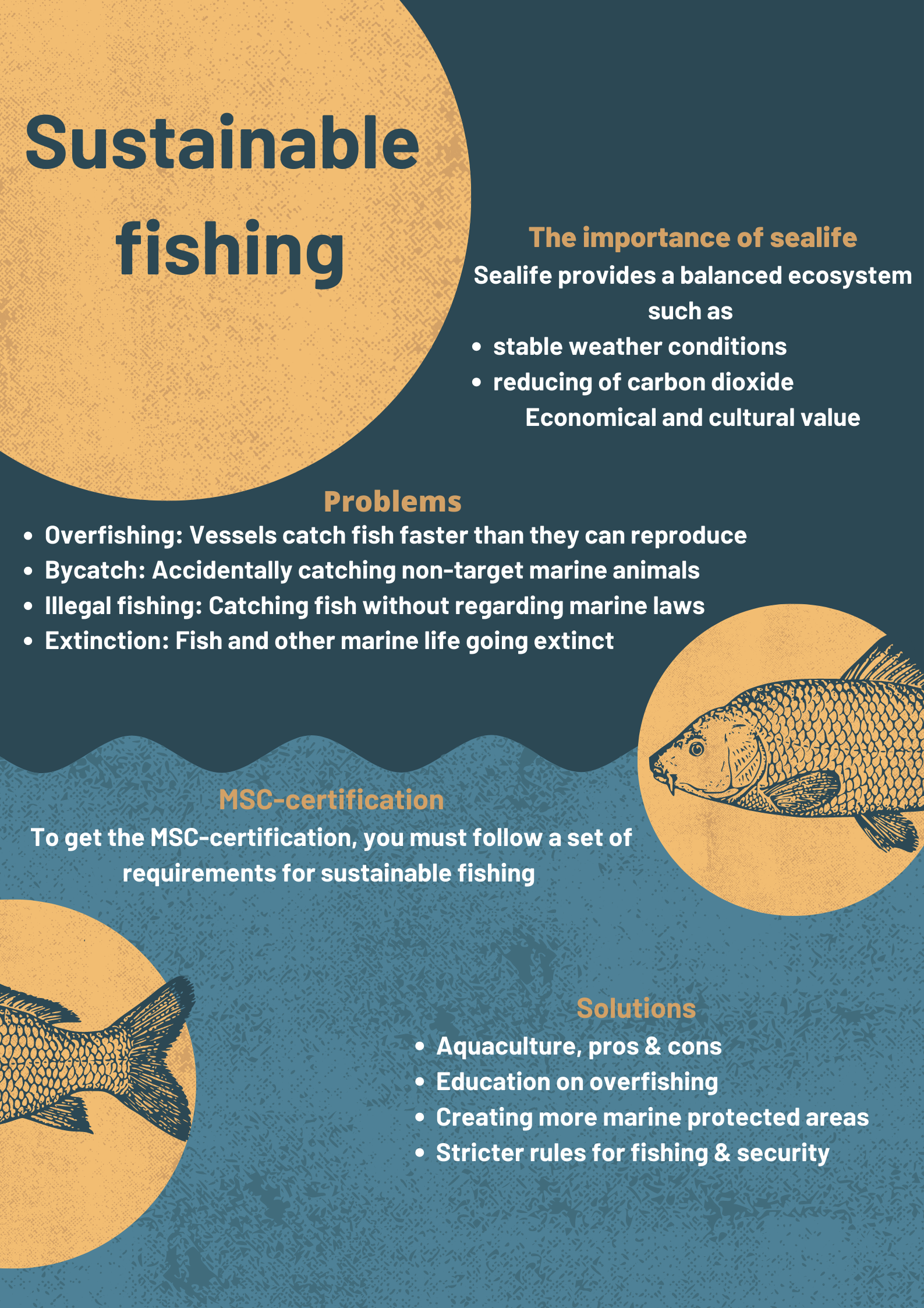 Sustainable fishing